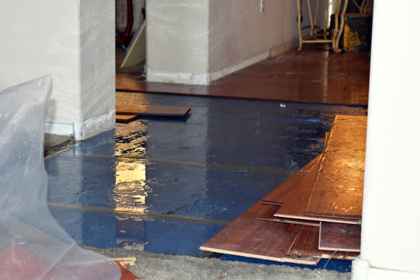 Professional Flood Cleanup technician working in Romulus, MI