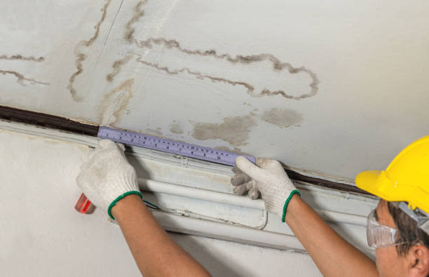 Reliable Flood Cleanup contractor in Romulus, MI by Water Damage Irwin